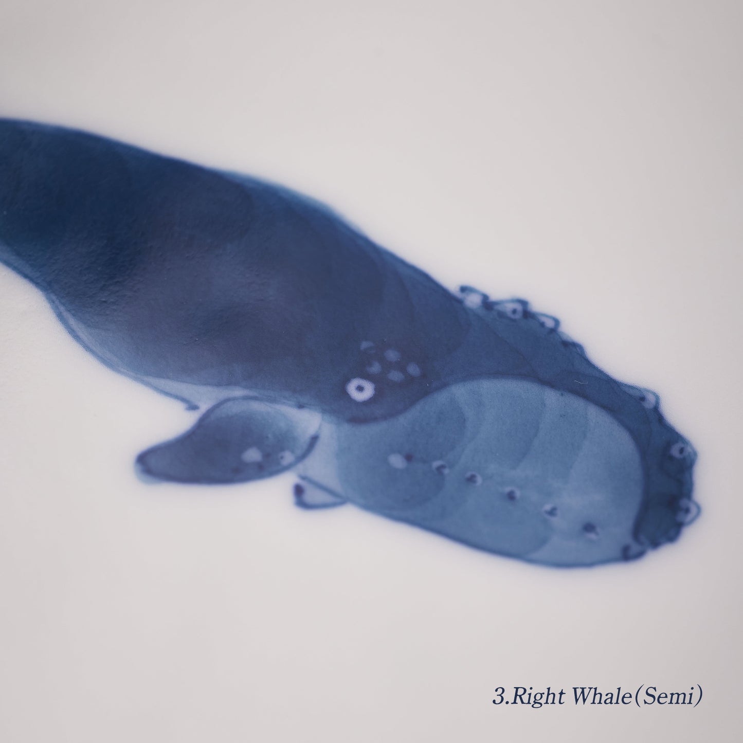 Whale Motif Plate – Kikyo-Rim 4-inch